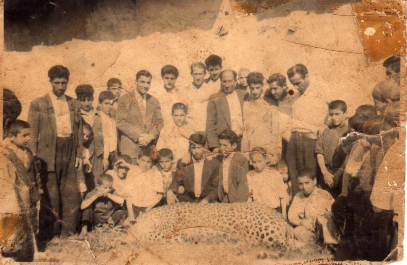 چمستان کجاست؟ / تجربه زندگی در شهر چَمِستان + تصاویر چمستان