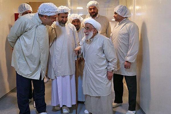 Ayatollah Ahmad Jannati