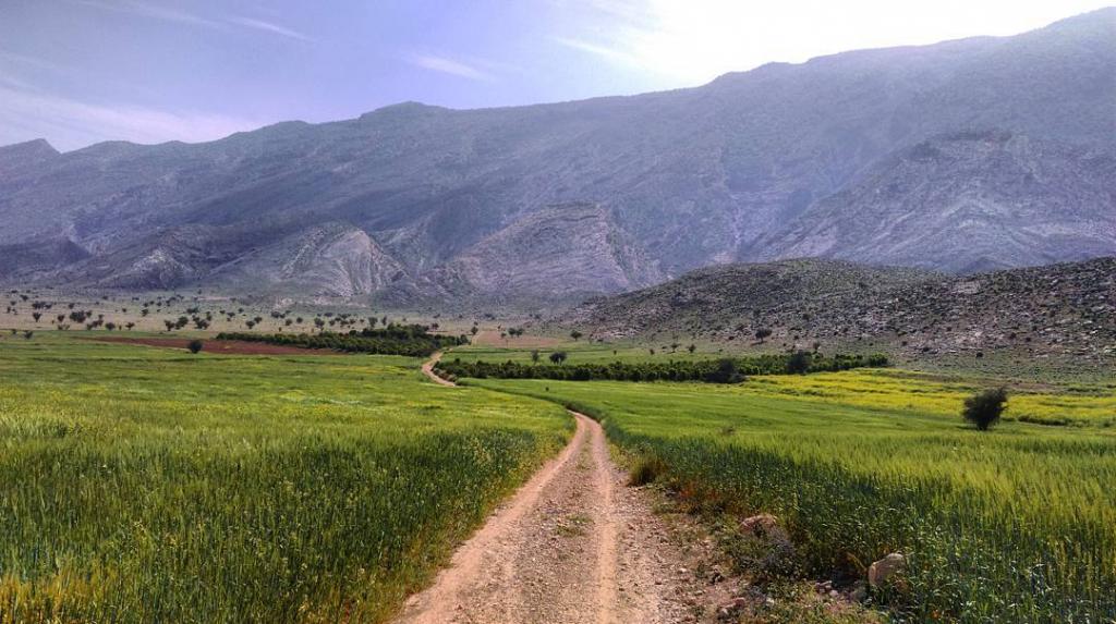 کاسکان