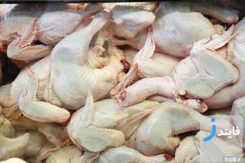 کمپین تحریم خرید گوشت مرغ هورمونی
