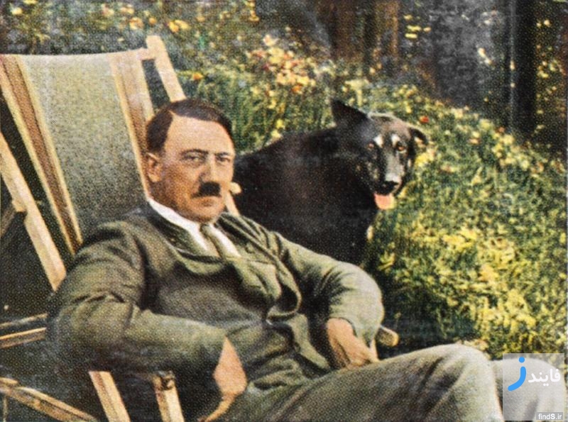 سرگذشت جالب سگ مشهور ژرمن شپرد