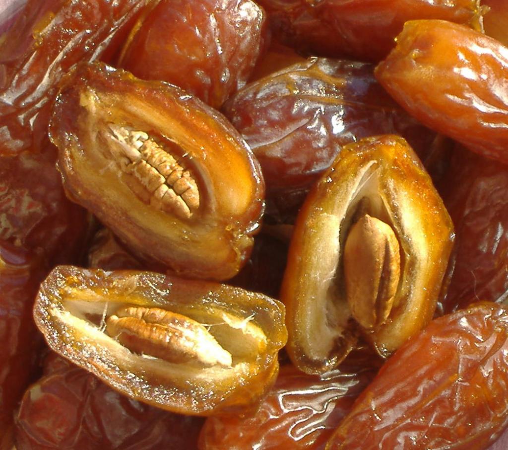 همه چیز درباره خرما / از تاریخچه کاشت تا ارزش غذایی خرما