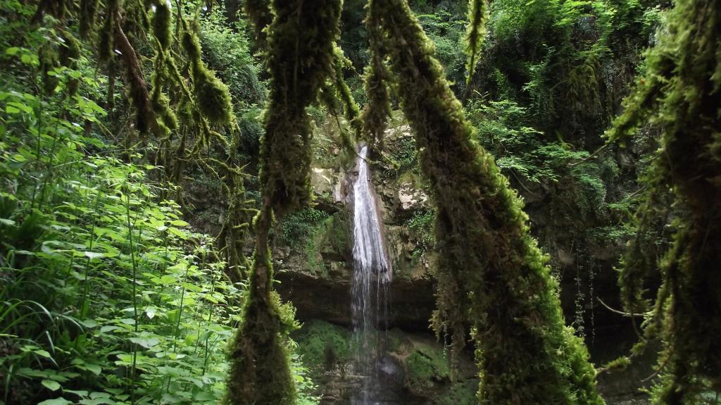 معرفی کامل آبشار ولیلا سوادکوه (زیرآب) + آلبوم عکس | فایندز