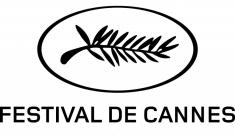 همه چیز درباره جشنواره بین‌المللی فیلم کن (Cannes Film Festival)