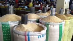 قیمت جدید برنج در بازار | لیست قیمت انواع برنج | بروزترین لیست قیمت