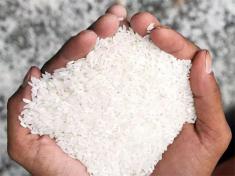 پرفروش ترین برنج های بازار | از برنج صدر هاشمی تا برنج طارم ممتاز