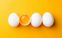 ارزش غذایی تخم مرغ | تخم مرغ چقدر کالری دارد؟
