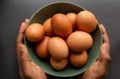 همه چیز درباره تخم‌ مرغ | تخم مرغ چه فواید و مضراتی دارد؟