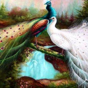 عکس پس زمینه طاووس