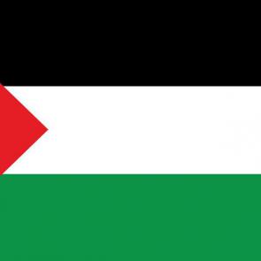 پرچم کشور فلسطین | Palestine flag