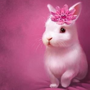 خرگوش خوشگل 9#