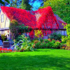 عکس خانه ویلایی زیبای جنگلی
