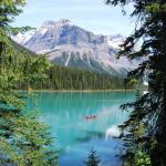 Trip to Banff, AB - Emerald Lake, Canada Photo by Bruno Soares on Unsplash