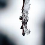 پس زمینه فصل زمستان برای موبایل | Photo by Thomas Willmott on Unsplash