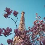 Eiffel Tower | Photo by Cartignies Killian on Unsplash