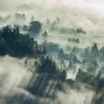 Bled, Slovenia  Transmission towers in fog | Photo by Neven Krcmarek