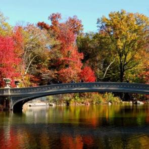 نمایی از Central Park نیویورک
عکاس : Ralph Spijkers