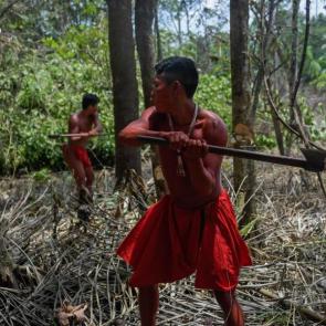 تصاویری از زندگی قبیله وایاپی در آمازون #9