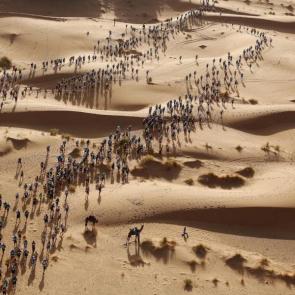 Marathon des Sables by Erik Sampers. Nominee, Sports singles. Runners in the Marathon de Sables (The Marathon of Sands), Sahara Desert, Morocco, which began on 9 April.