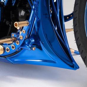 تصاویر موتورسیکلت هارلی دیویدسون Blue Edition مدل 2018 #2