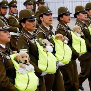 عکسی جالب از مامورین پلیس زن در شیلی
