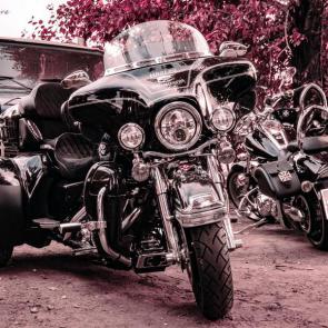 آلبوم عکس زیباترین موتورسیکلت‌های هارلی دیویدسون #27