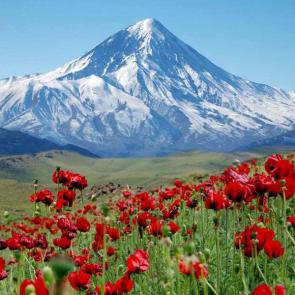 Mount Damavand In north of Iran. It is located in mazandaran