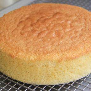 عکس کیک اسفنجی Sponge Cake