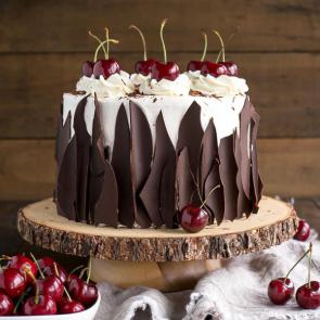 عکس کیک گیلاسی جنگل سیاه | Black Forest cake