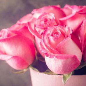 زیباترین گل های رز 8#