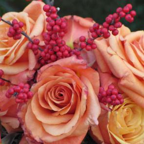 زیباترین گل های رز 12#