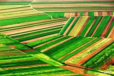 چین در 33 کشور زمین کشاورزی خریداری کرده