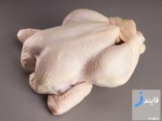 مهمترین نکات هنگام خرید گوشت مرغ سالم و تازه + قیمت مرغ