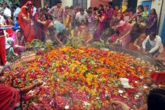 تصاویر جشنواره پرستش مارها در هند