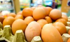 نگرانی شدید اروپایی ها در پی وارداتی گسترده تخم مرغ‌های آلوده به آفت