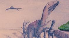 رد پای یک دایناسور عظیم الجثه با 207 متر ارتفاع پیدا شد!