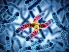 دستکاری ژنتیکی بدن انسان / روشی جدید برای درمان بیماری‌ها اما پر خطر!