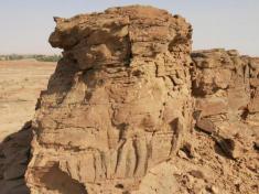 کشف نقش‌برجسته‌ شتر با قدمت 2 هزار ساله در عربستان سعودی