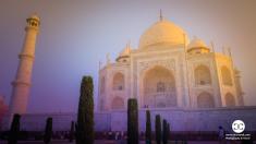 نگرانی هندی‌ها، از تغییر رنگ قصر مشهور تاج محل