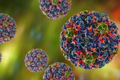 شیوع شدید ویروس HPV (ویروس زگیل تناسلی) در ایران + هشدار مرکز تحقیقات ایدز