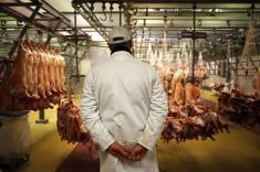 نگرانی قصاب ها از کاهش گوشت‌خواری در فرانسه