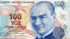کاهش شدید ارزش لیر / ارزش پول ترکیه به پایین ترین حد در برابر دلار آمریکا رسید!