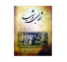 کاملترین معرفی کتاب شهابی در شب درباره اثبات مذهب شیعه نوشته دکتر توحیدی