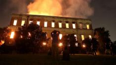 موزه ملی برزیل زغال شد! / 20 میلیون شیء باستانی کاملاً نابود شدند
