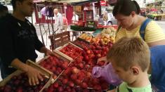 ناامنی غذایی در فرانسه / 27 درصد از مردم فرانسه توانایی خرید میوه و سبزیجات را ندارند