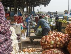 افزایش 40 درصدی قیمت سبزیجات / قیمت سیب زمینی و گوجه فرنگی افزایش یافت
