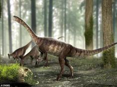 یافته های حیرت آور از گردن‌درازترین دایناسور جهان + عکس