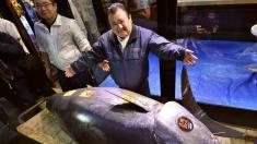 پادشاه سوشی ژاپن، ماهی سه میلیون دلاری خرید!
