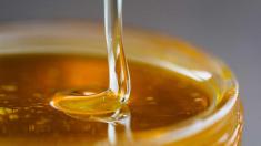 عسل‌های تقلبی در بازار دو برابر عسل های با کیفیت، قیمت دارند!