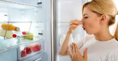 آموزش از بین بردن بوی بد یخچال و فریزر